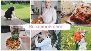 VLOG:Наши выходные в Германии/ Утка на обед/поехали за цветами