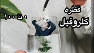 قطره کلروفیل ۰تا ۱۰۰! فواید و مضرات کلروفیل