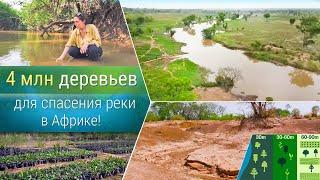 4 млн деревьев для спасения реки!