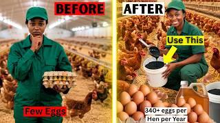 My Hens Started Laying Non-Stop After I Fed Them THIS Homemade Supplement!