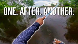 That Time I Got a Serious Arm Workout! (Tenkara Bass Fishing)