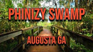 Augusta Georgia Nature Walk- Phinizy Swamp- FREE