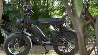 V8 Electric Bike 20inch