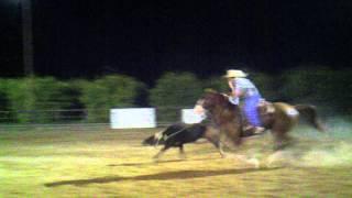 JJ & Ever Team roping