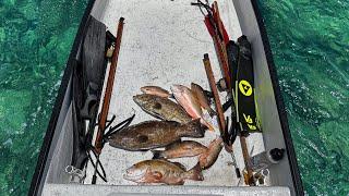 Shallow Water Spearfishing | 10-20 Ft | Grouper Head Soup