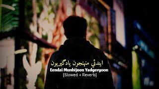 Endai Muhnjyon Yadgeeryon Slowed Reverb| Rauf Magsi| Sindhi Slowed Revereb Songs | Sindhi Remix Song