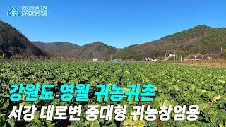 [영월토지] NO.10302 영월 귀농귀촌 강력추천 토지, 서강 강변 접근성 최상, 귀농창업용 최적지, 영월귀농 지원 받고 전업 농부 제2의 인생 시작! 영월땅매매 #영월한국부동산