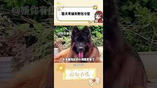 虽然养不起，但能不能让我见一见