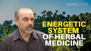 Energetic System of Herbal Medicine | David Winston | The Sacred Science