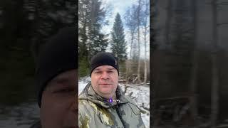 Начинаю освоение своего участка в Карелии. https://t.me/ZemInvST #топ#профит#участки#Карелия#земля