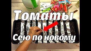 ТОМАТЫ СЕЮ ТАК! ТОНКОСТИ ВЫРАЩИВАНИЯ РАССАДА ПОМИДОР В ДОМАШНИХ УСЛОВИЯХ.УХОД КАК ПОЛИВАТЬ ТОМАТЫ