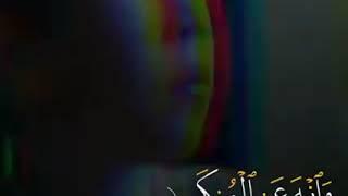 وصايا لقمان الحكيم لإبنه ..آيات من القرآن 