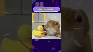 你別說你還真別說！ 最擬人的一張圖