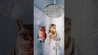 Me and my boyfriend showering  #catmemes #relatable #relationship #shorts