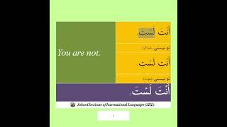 You are not in Arabic. #learnarabic #arabiclanguage #islam #quran #religion #religion #test
