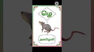 Learn Tamil ZHA Varisai | ழ வரிசை சொற்கள் | ழ,ழா,ழி,ழீ சொற்கள் | zha,zhaa,zhi varisai Tamil