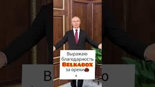 #belkabox #рекомендации