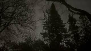 Untitled #1 - Sean Clarke