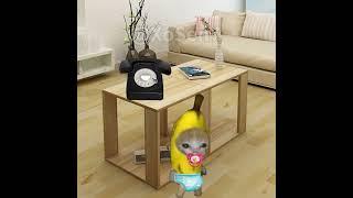 BANANA CAT  BABY'S DAD FORGOT HIS BAG AND RAN AFTER THE BAG #catmemes #cat #bananacat #shorts #fyp