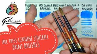 Fuumuui Genuine Squirrel Brush Set - Too Good to be True? Honest First Impressions