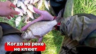 КАРАСЬ НА СПИННИНГ! КОГДА НЕ КЛЮЕТ НА ПОПЛАВОК И В РЕКЕ МУТНАЯ ВОДА МОРМЫШИНГ ВЫРУЧАЕТ! РЫБАЛКА 2024