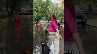 Почему не работают команда «ко мне»? Рассказала в длинном видео ️ #рекомендации #собака
