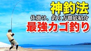 なんでも釣れる遠投カゴ釣りの仕掛け、釣り方まとめ