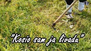 Kosio sam ja livadu (Official video) Petar 2024