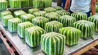 Shocking Square Watermelon Production in Japan - Farmers' Farming Techniques You've Never Seen