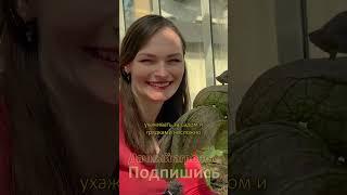 Дача СЧАСТЬЯ с Дачный агроном