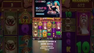 собачки чутка дали на поиграть еще #shorts  #buster #zubaref #casino #промокод