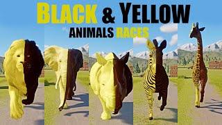 Black & Yellow Animals Speed Races in Planet Zoo in 4K UHD included West African Lion etc