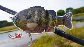 Fishing with ULTRA Realistic Bluegill Swimbait!