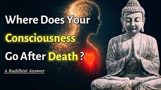 Where Does Your Consciousness Really Go After Death? Buddhism's Answer