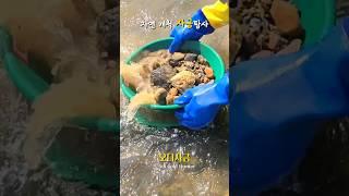 자연금 개척 사금탐사 #사금 #gold #개척사금탐사