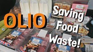 Olio Collection  Saving Food Waste  Free Food  OLIO App