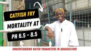 Why Catfish Fry Die After 2 weeks - The Solution