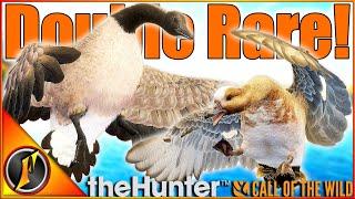 2 AMAZING RARES on Revontuli Coast! | theHunter Call of the Wild