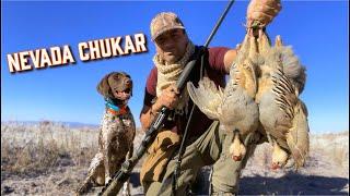 Almost got skunked on my 1st Nevada CHUKAR hunt