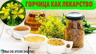 Горчица как лекарство!