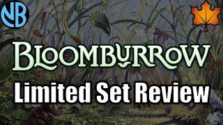 BLOOMBURROW LIMITED SET REVIEW!!!