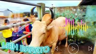 Sur jop u leih barato//Leih barato full song//