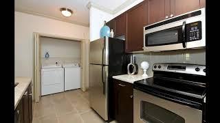 Rent with Us | TwentyNine24 Brookhaven