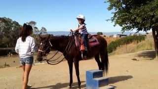 Amelia Qu (7) - Day 2 horse camp, getting on the horse