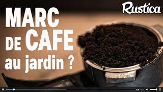 Marc de café au jardin : bénéfique ou maléfique ?