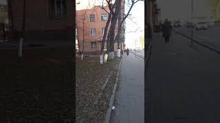 ‼️ЧАГА НА ОДНОЙ ИЗ ГЛАВНЫХ УЛИЦ ГОРОДА‼️