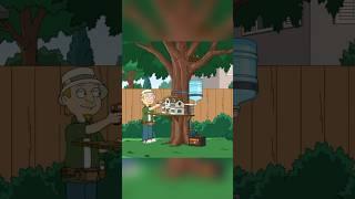 Jeff has built a bird house on a tree #shorts #americandad
