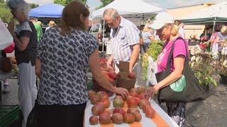 Illinois state law will allow home cooks to sell their food at festivals, online