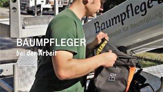 Baumpfleger in Berlin - Totholz entfernen - Baumpflege Bittner GmbH