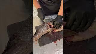 Лучшие рецепты из щуки и судака – уха, котлеты и тельное. #рецепты #кулинария #shorts #food #вкусно